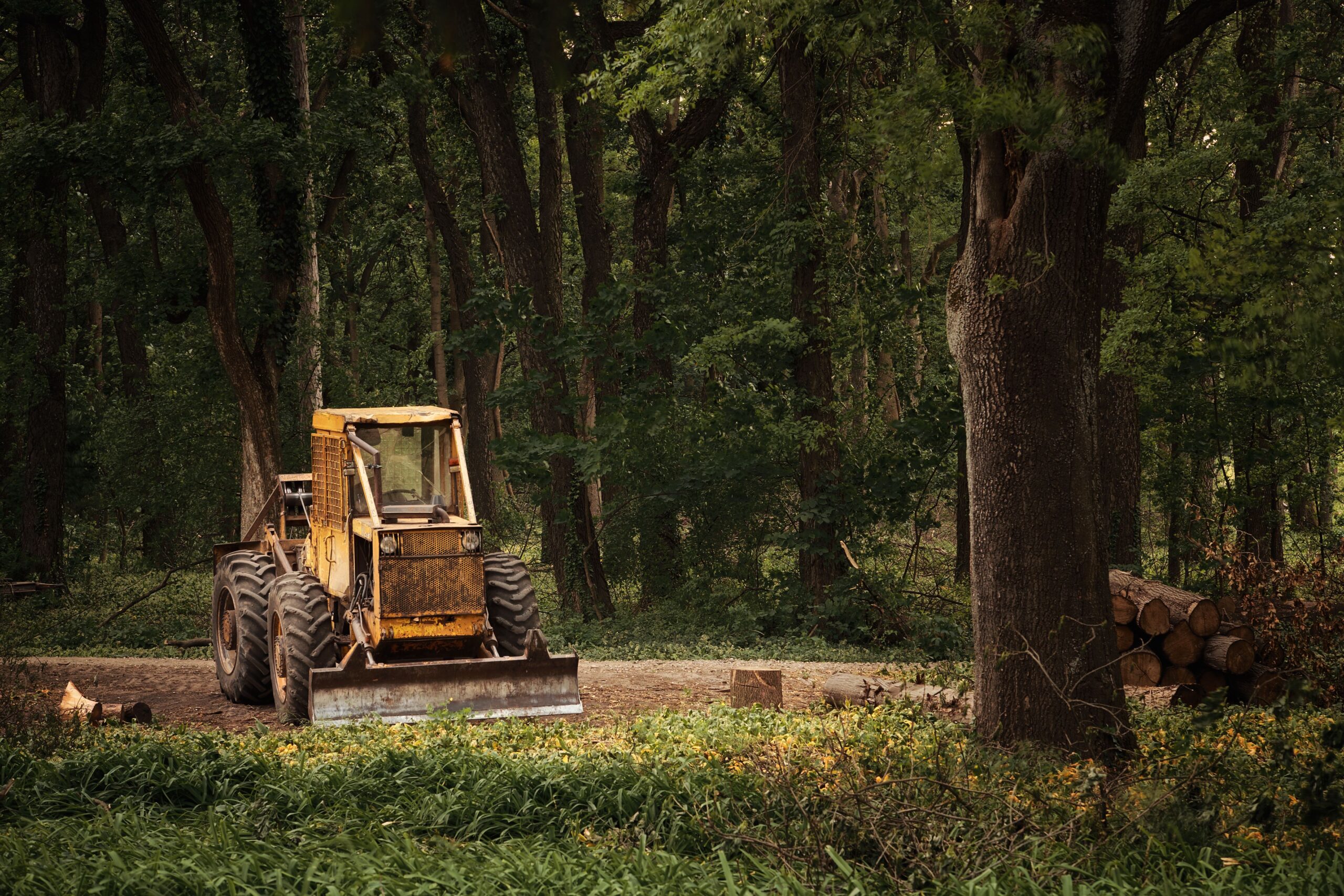 Clear Trax Land Management Goes from $100s to $10,000s